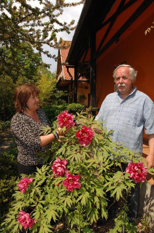 Garten Vendeghaz Eğri Dış mekan fotoğraf