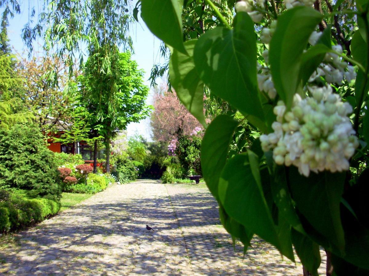 Garten Vendeghaz Eğri Dış mekan fotoğraf
